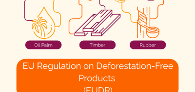 The EUDR is coming: Are you ready for it?