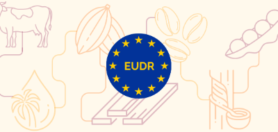 EUDR: Who is under scope?