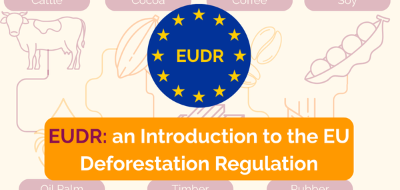 EUDR - an introduction to the EU regulation on deforestation-free products