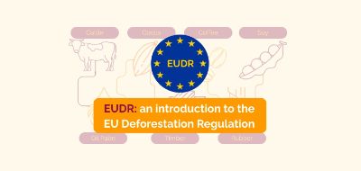Webinar EUDR: an introduction to the EU regulation on deforestation-free products