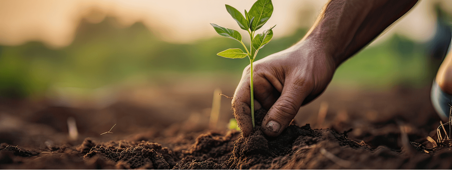 Building an innovative food chain for Rijk van Nijmegen en Lingewaard